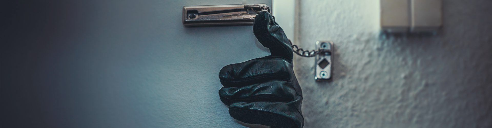 Indbrudstyv ved dør