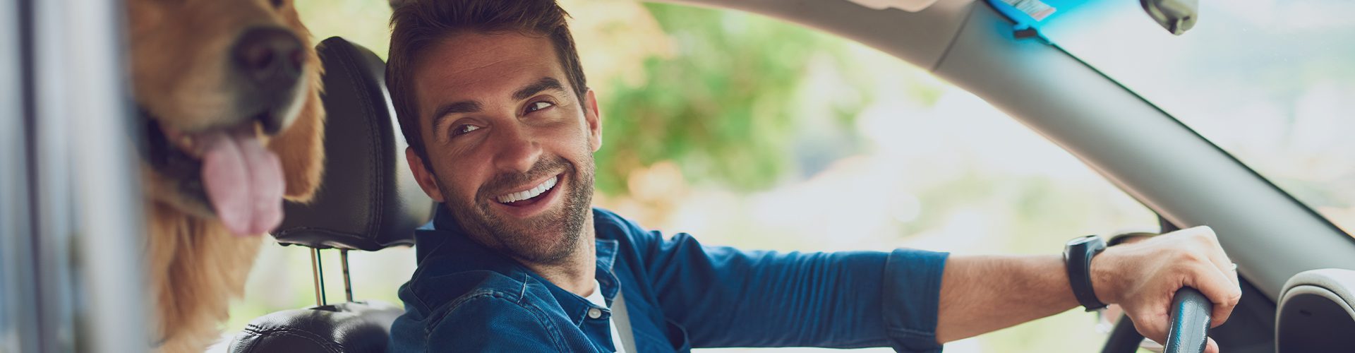 Mand i bil med en golden retriever hund