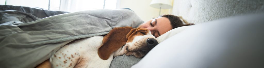 Kvinde og hund sover sammen i seng