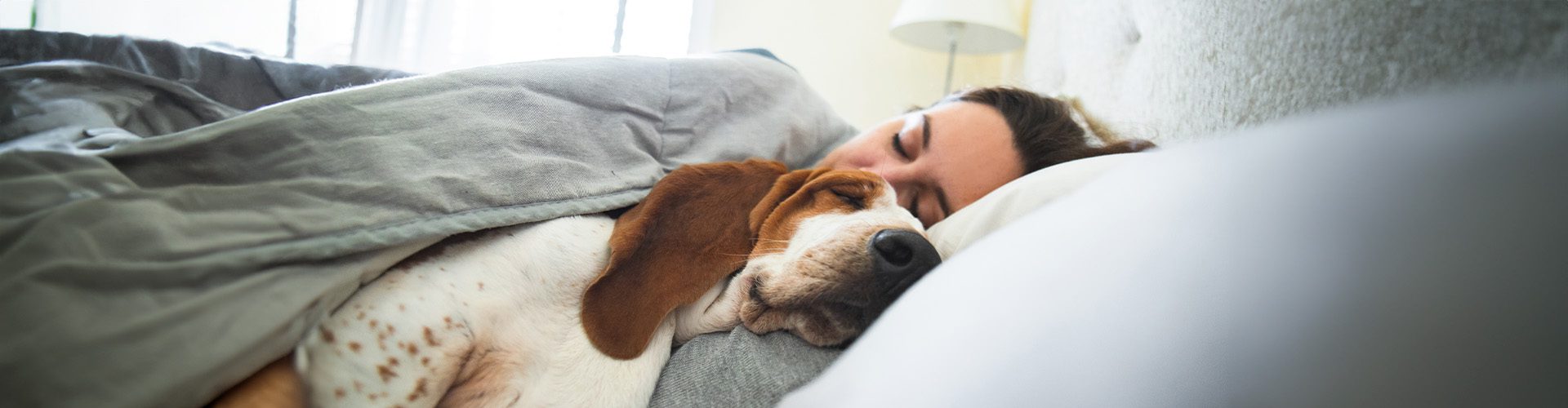 Kvinde og hund sover sammen i seng